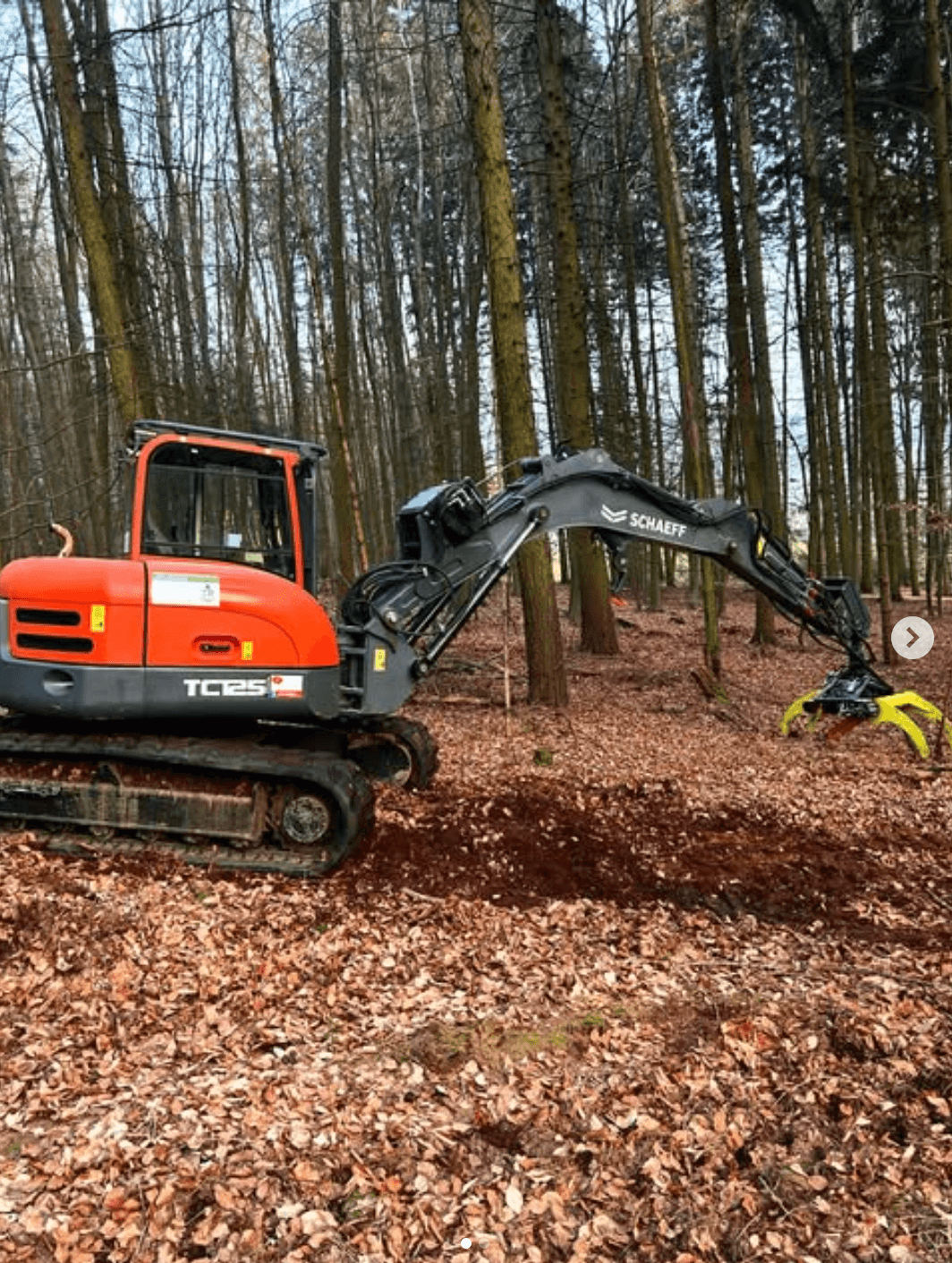 Kettenbagger mit Greifer im herbstlichen Laubwald